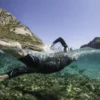 Suunto Ambit3 Sport Blue – zegarek GPS do uprawiania wielu dyscyplin sportowych